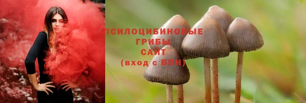 амф Абинск
