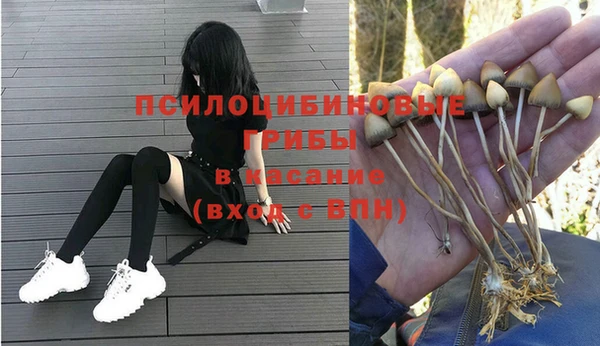 амф Абинск