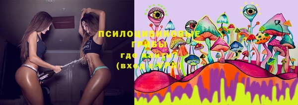 амф Абинск