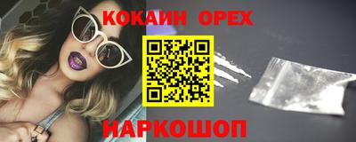 гашик Малгобек