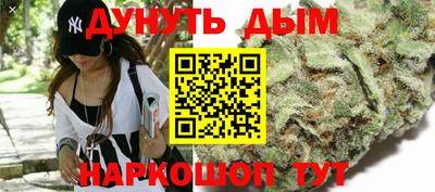 гашик Малгобек