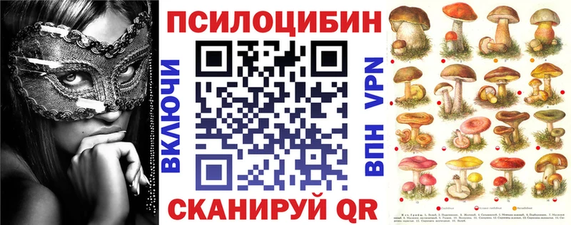 как найти наркотики  Зеленокумск  Галлюциногенные грибы GOLDEN TEACHER 